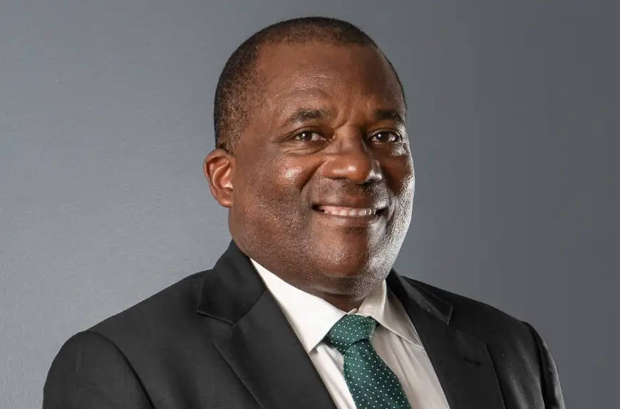 Chief Executive Officer Mr Vulindlela Ndlovu